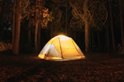 yellow and black tent in forest during night time