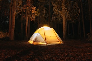 yellow and black tent in forest during night time