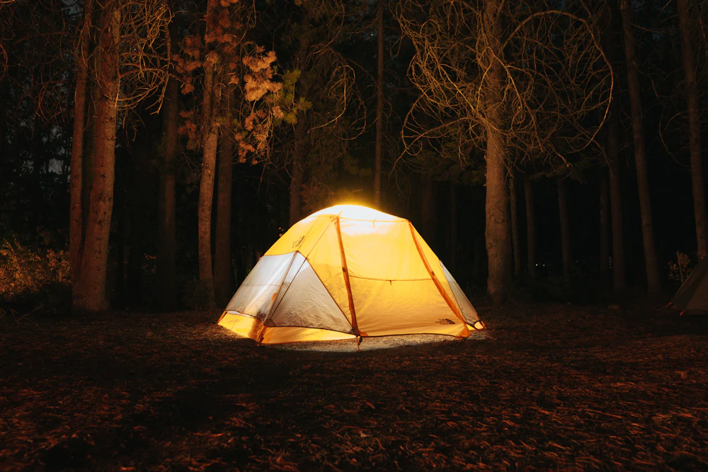 Dome tent glowing at night in a forest