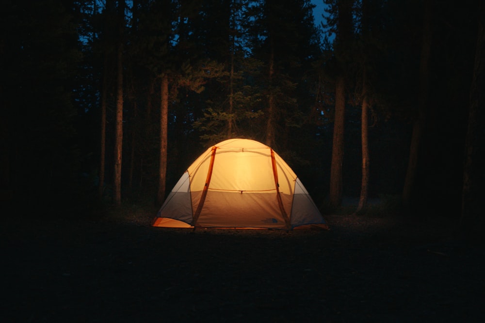 white dome tent in forest during night time