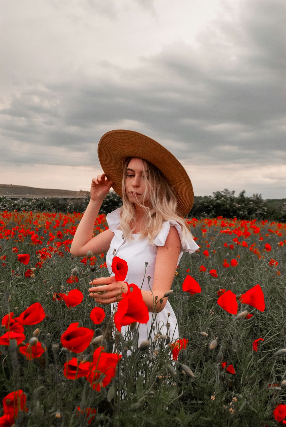woman in white dress and brown hat standing on red flower field during daytime