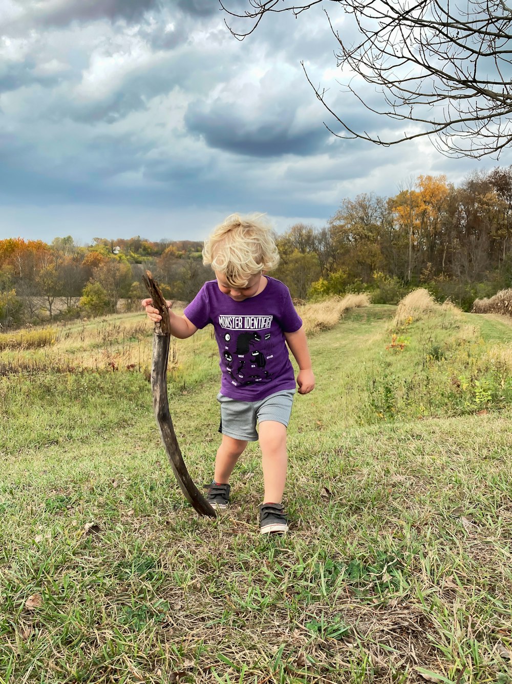 boy in blue t-shirt and black shorts holding black stick walking on green grass field