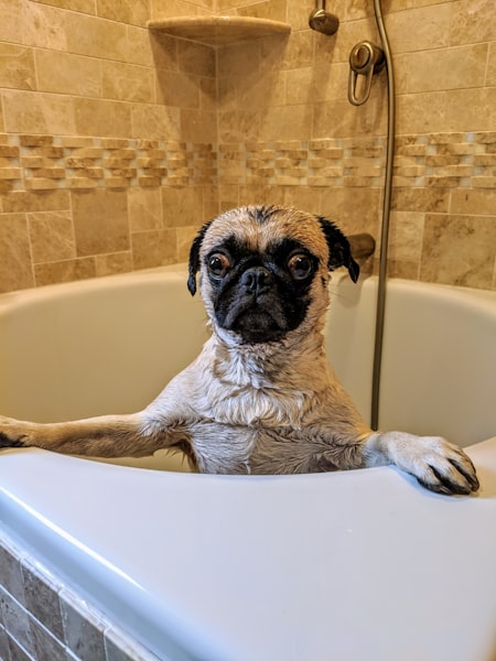 Spa Lounge