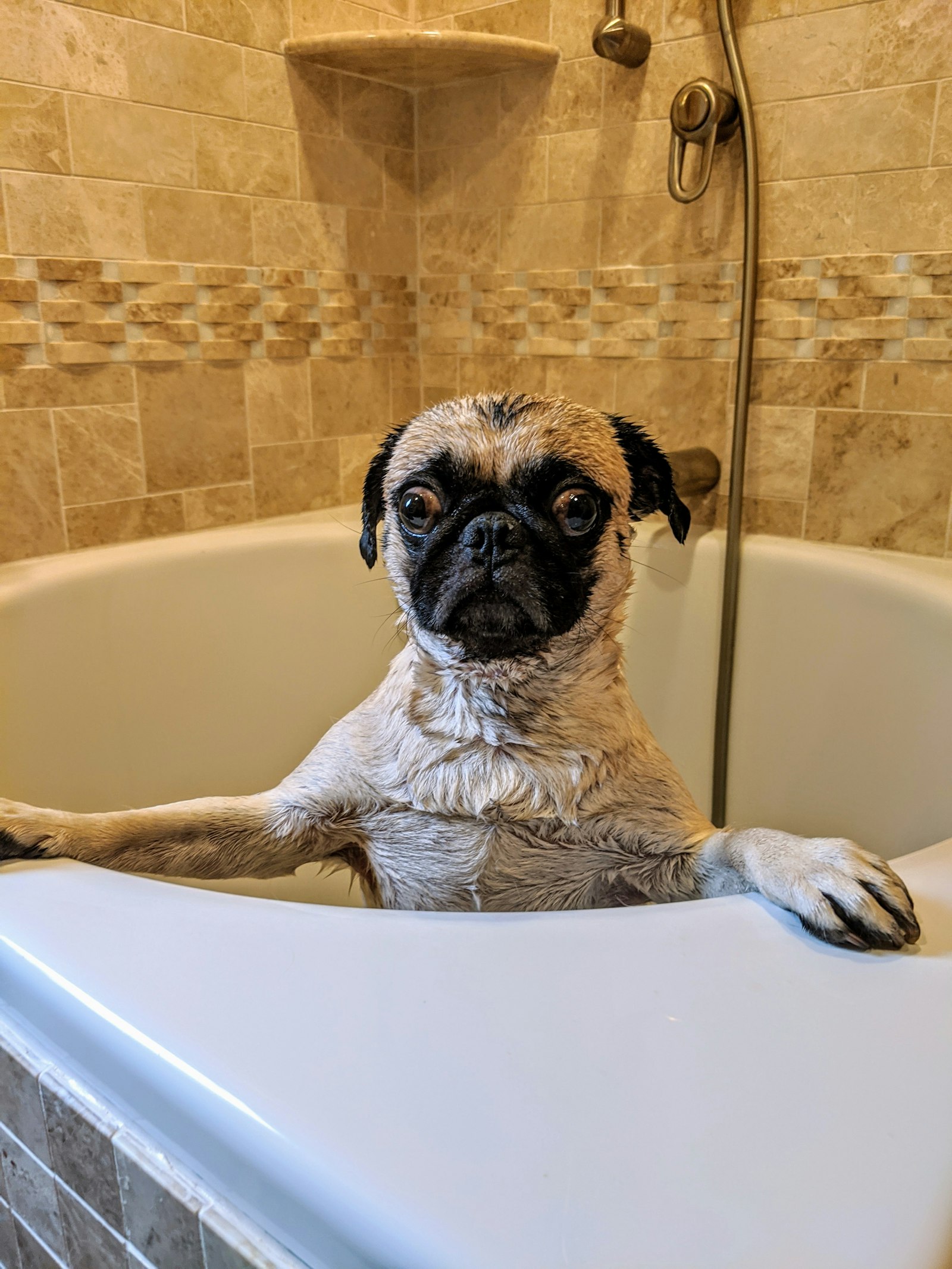 Warm bath, no cage, no waiting