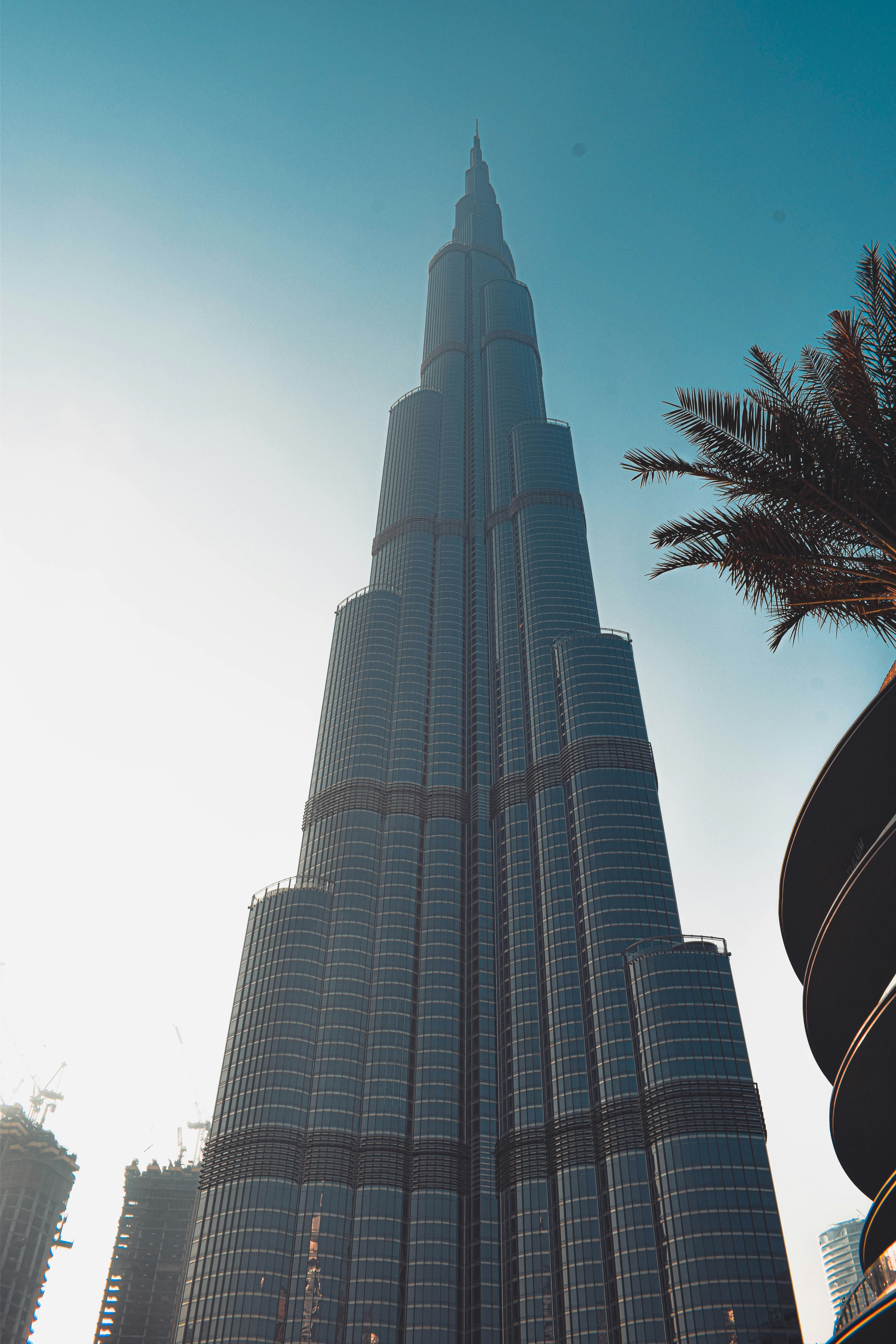 Photo by timeless237