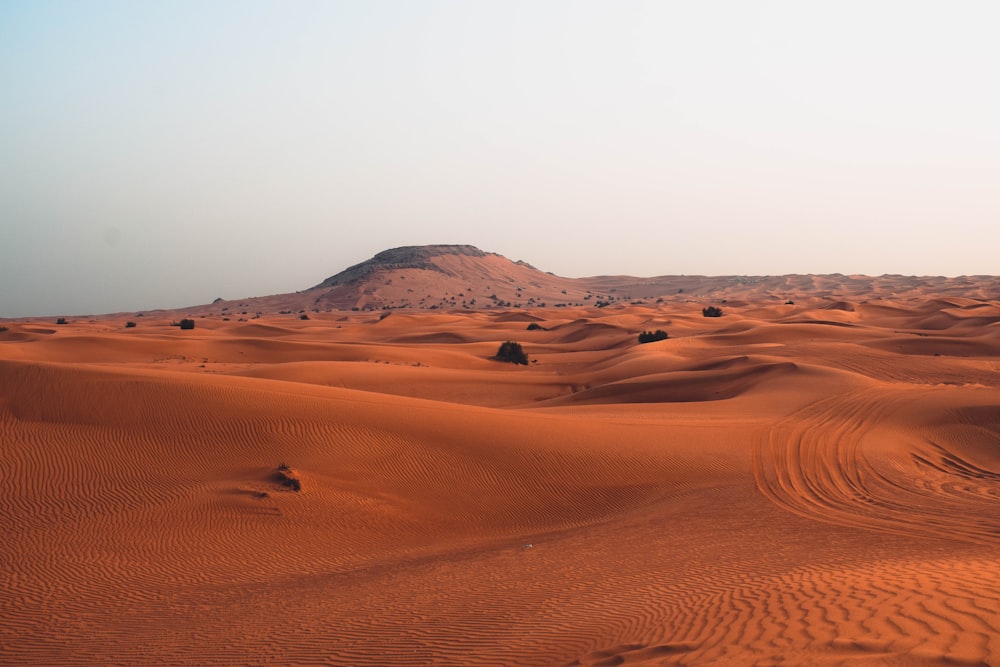 desert under gray sky during daytime