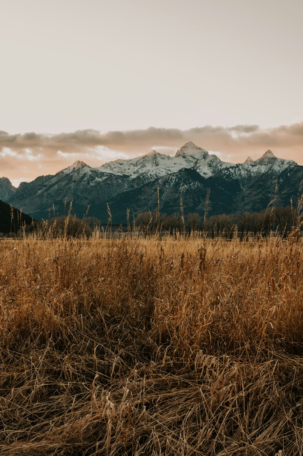 brown grass field near snow covered mountain during daytime