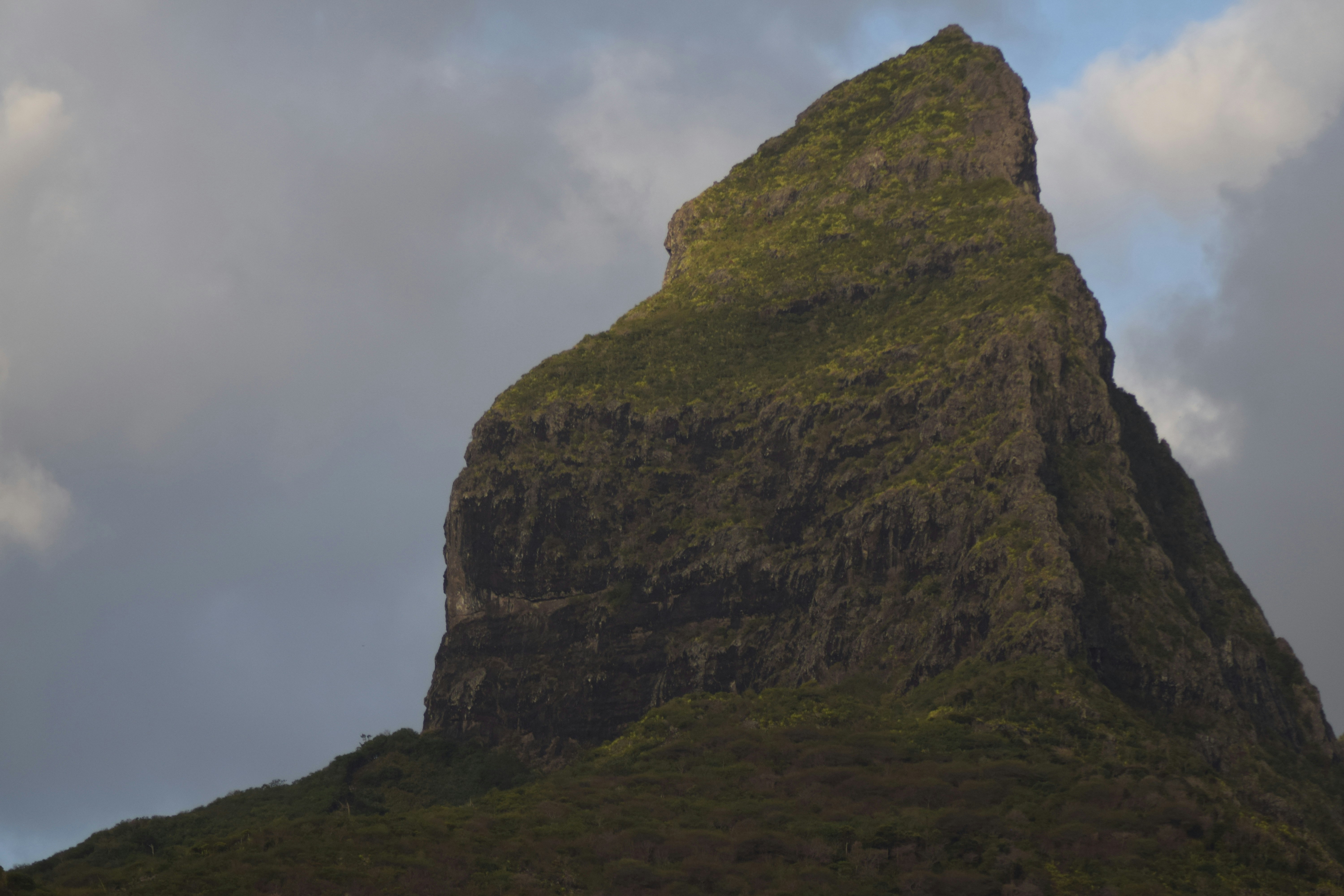 Photo by timeless237