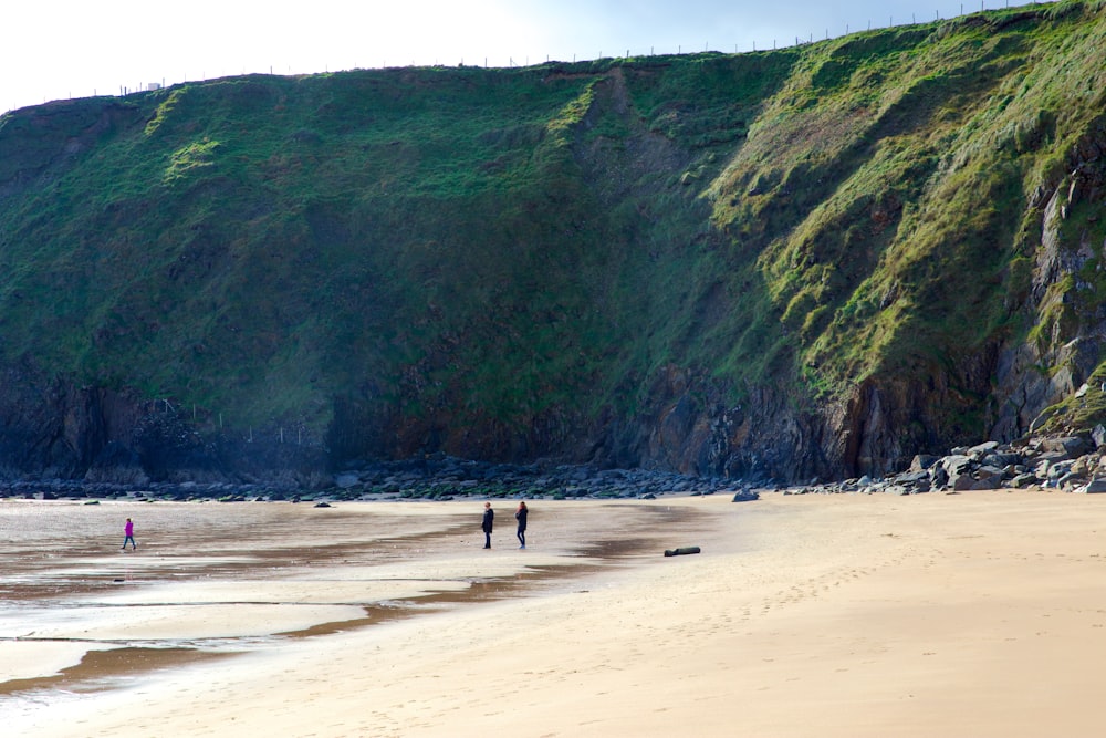 people walking on beach during daytime