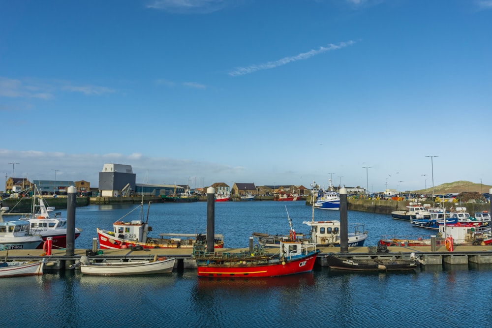 red and white boat on dock during daytime