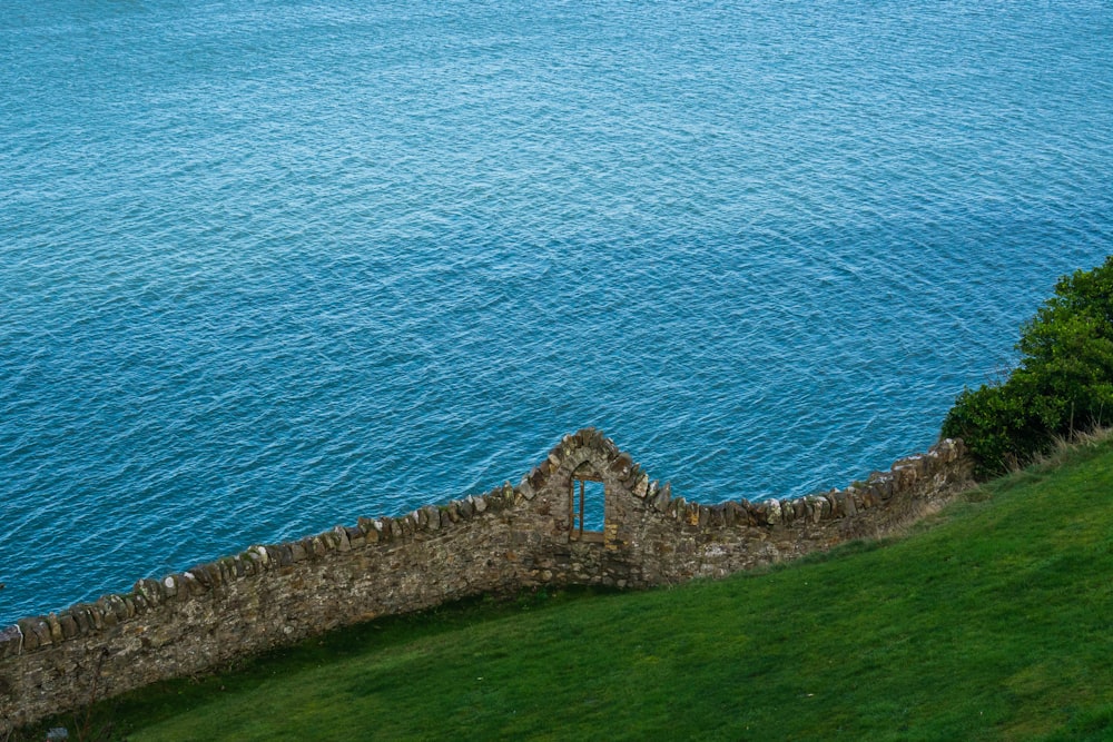 green grass field beside blue sea during daytime