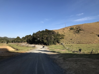 Close-up of sturdy cattle guard installation on a rural dirt road surrounded by green fields.