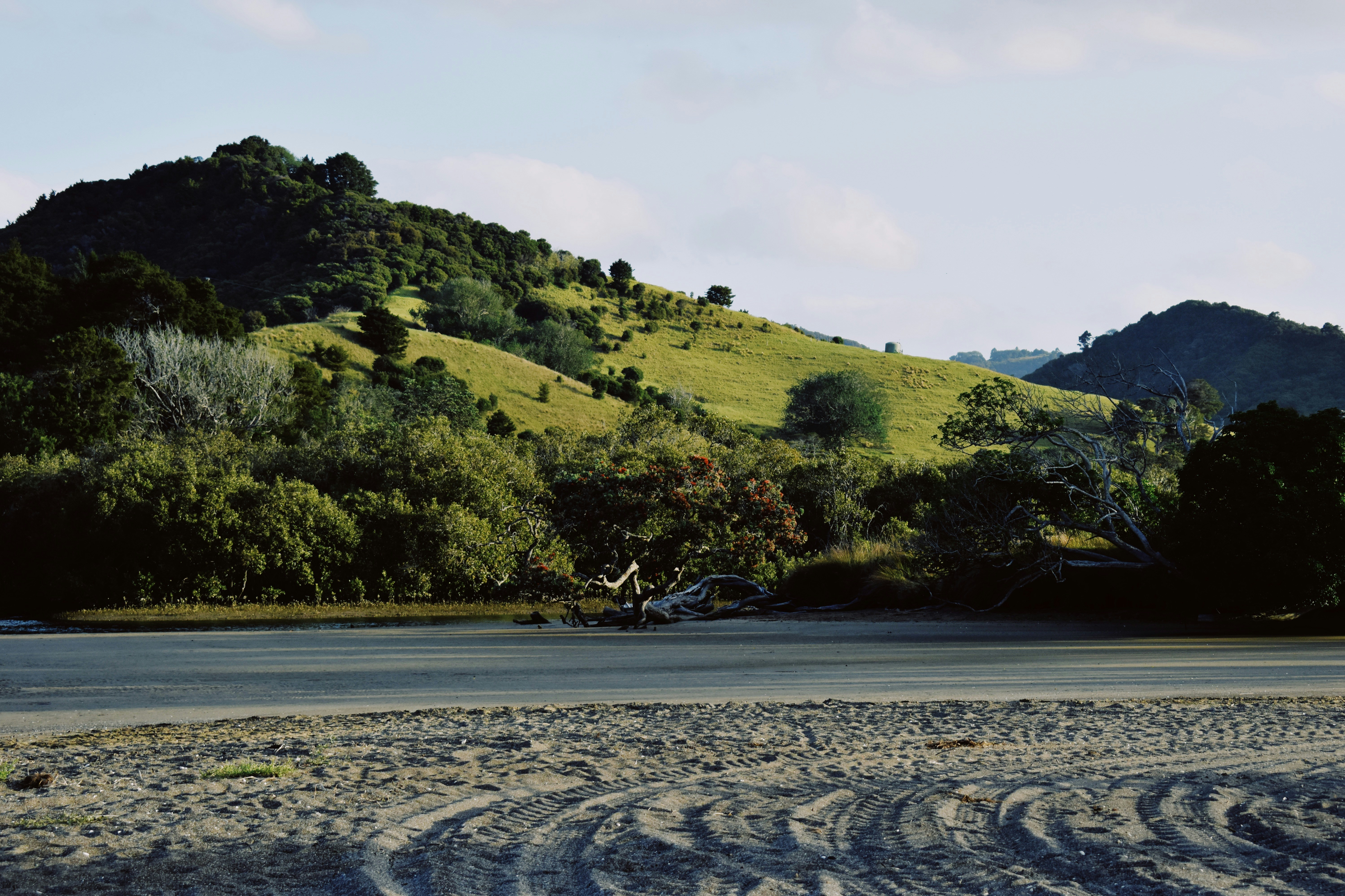 Photo by sabrinasphotojournal