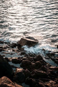 brown rocky shore with sea waves crashing on rocks during daytime