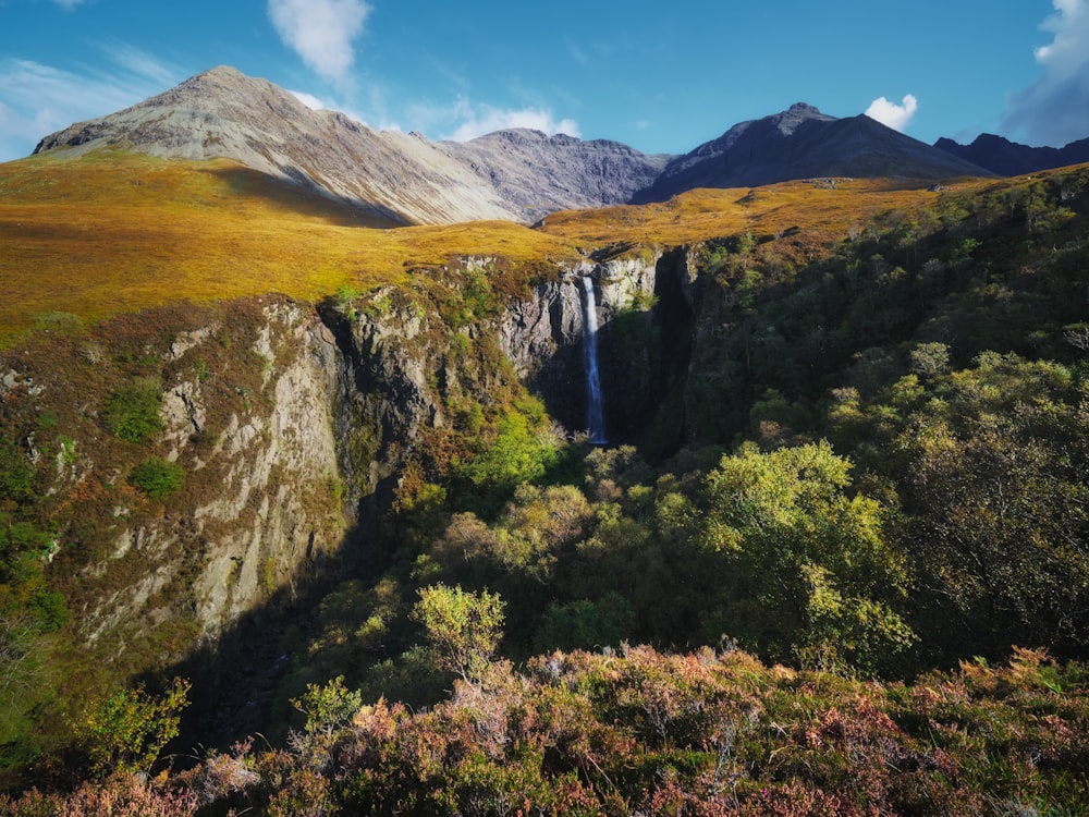 Grüne Bäume am Berg unter blauem Himmel tagsüber