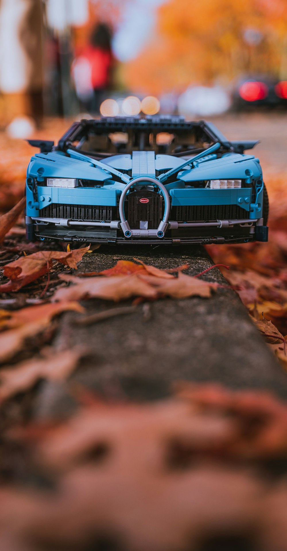 blaues Auto auf braunen getrockneten Blättern