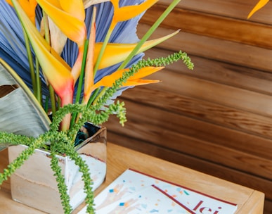 yellow and green plant on brown wooden table