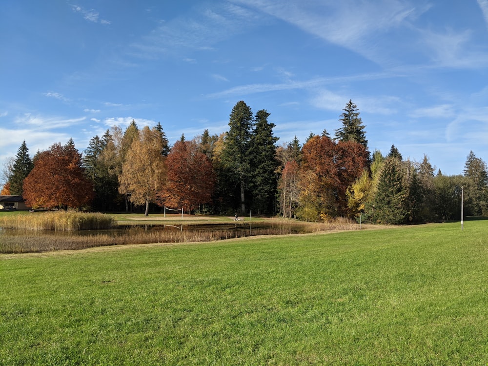 green grass field with trees under blue sky during daytime