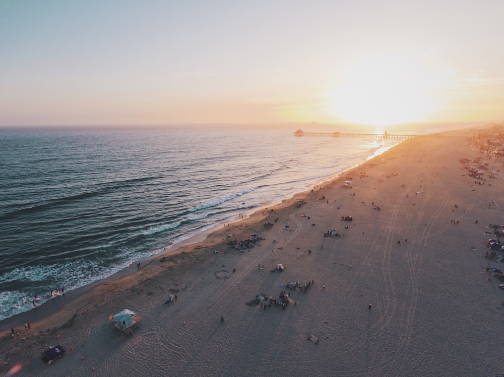 people on beach during daytime