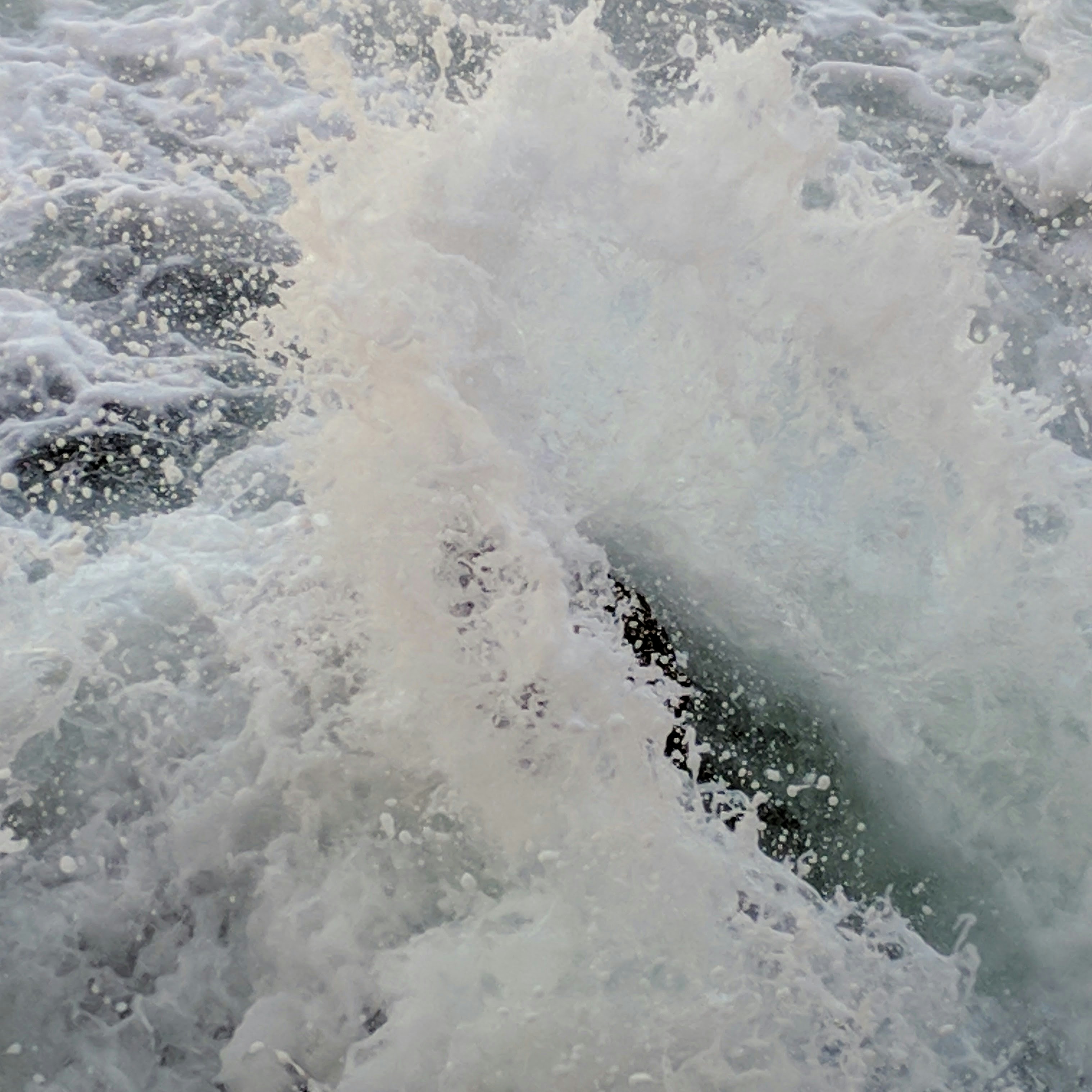 Photo by nature_by_photos