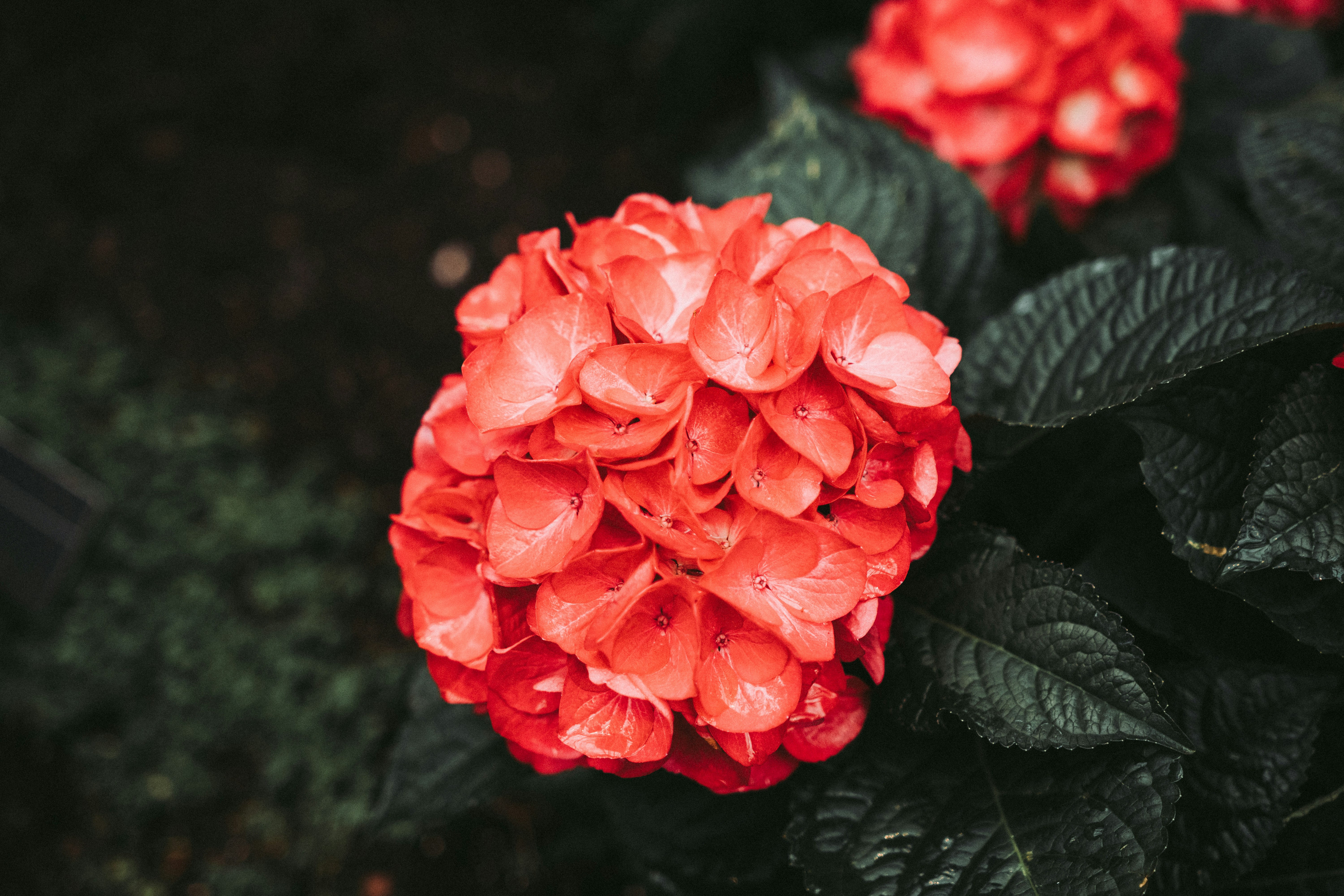 Photo by eventidedesignco