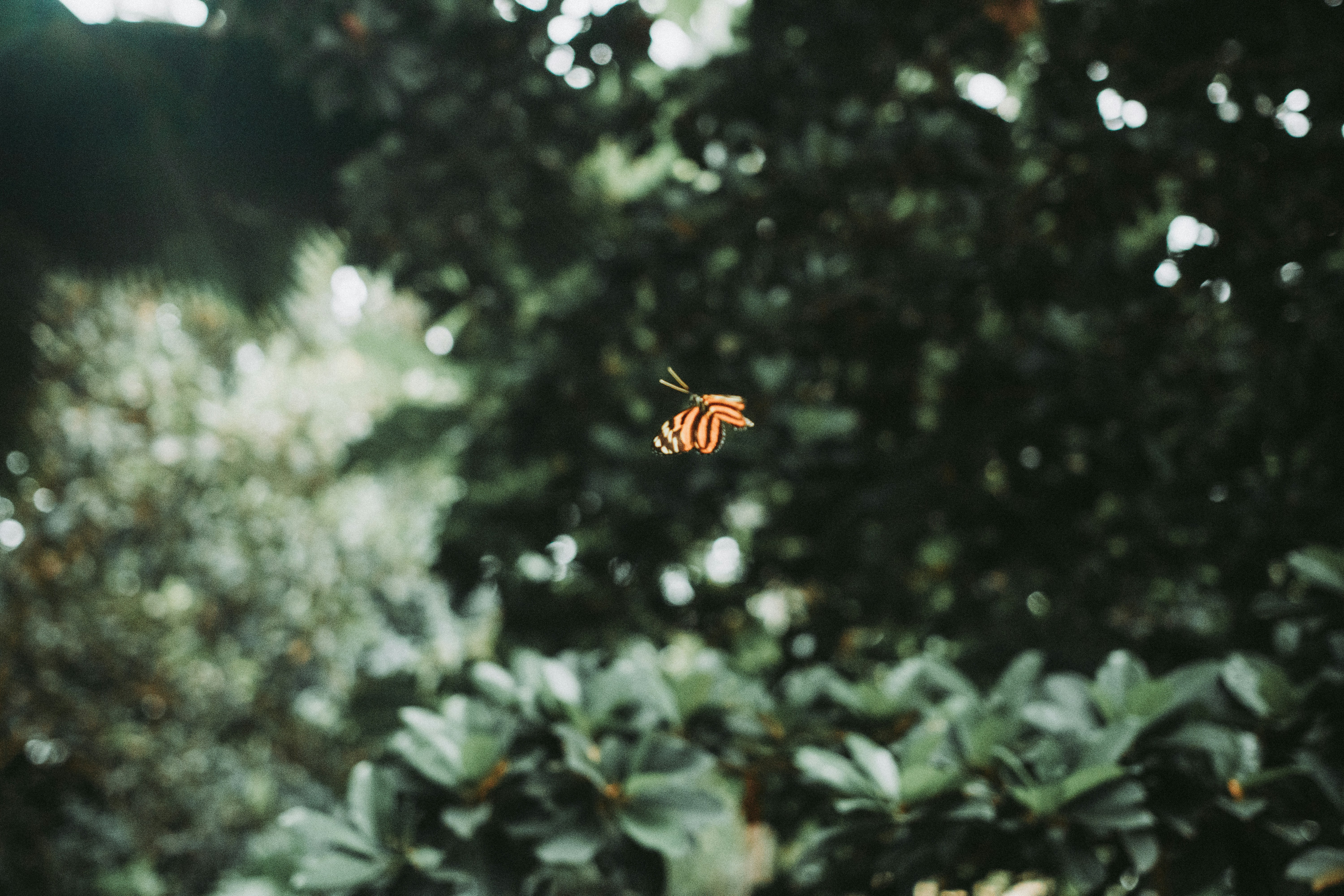 Photo by eventidedesignco