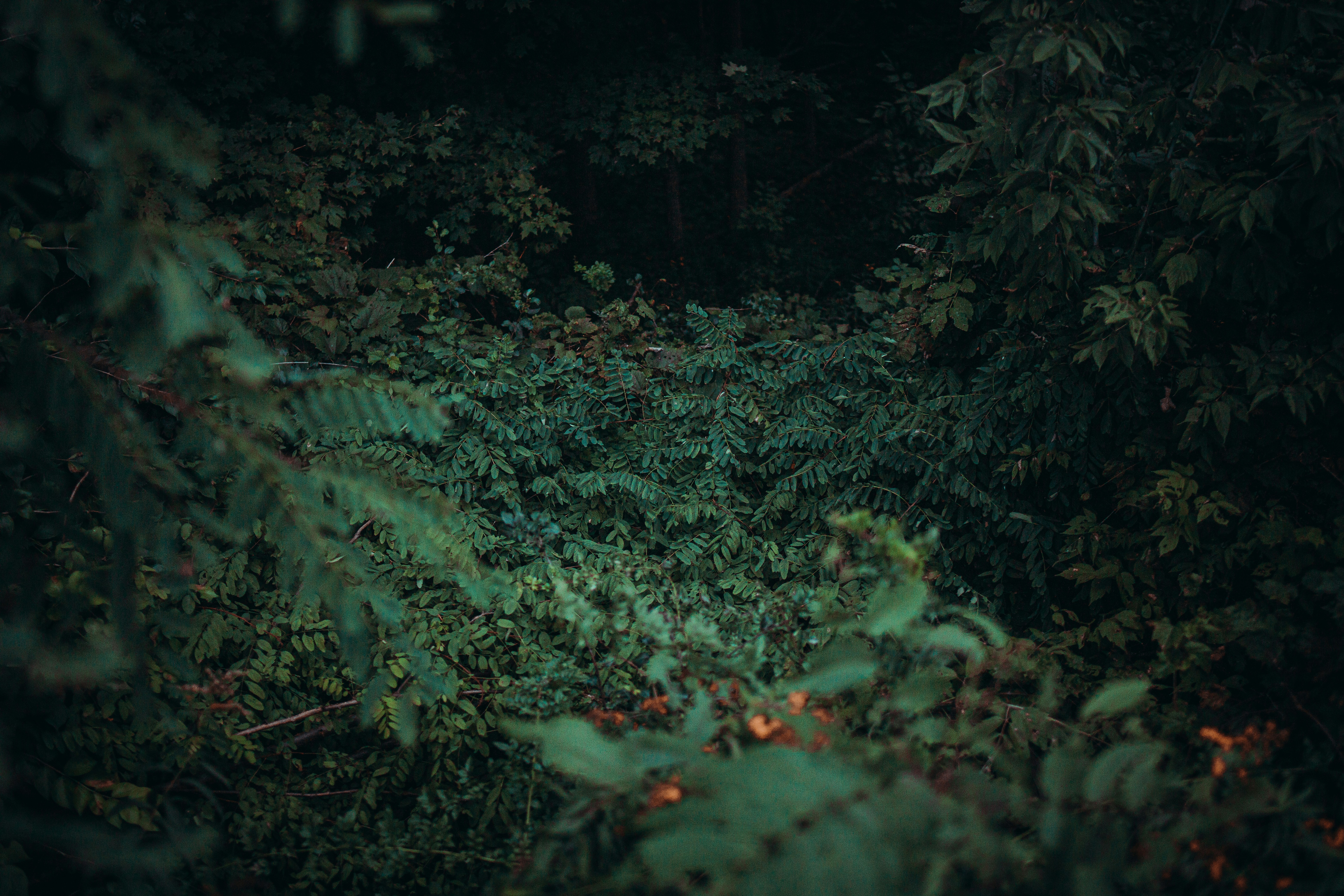 Photo by eventidedesignco