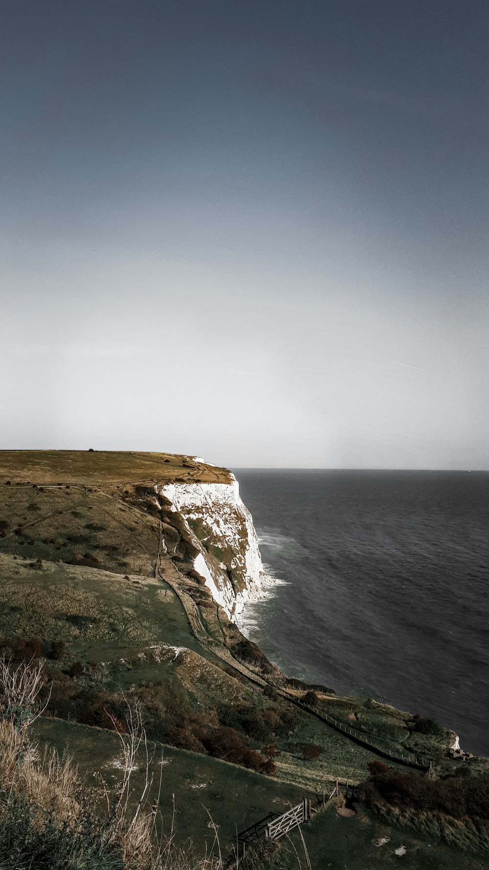 green grass on brown rock formation beside sea during daytime