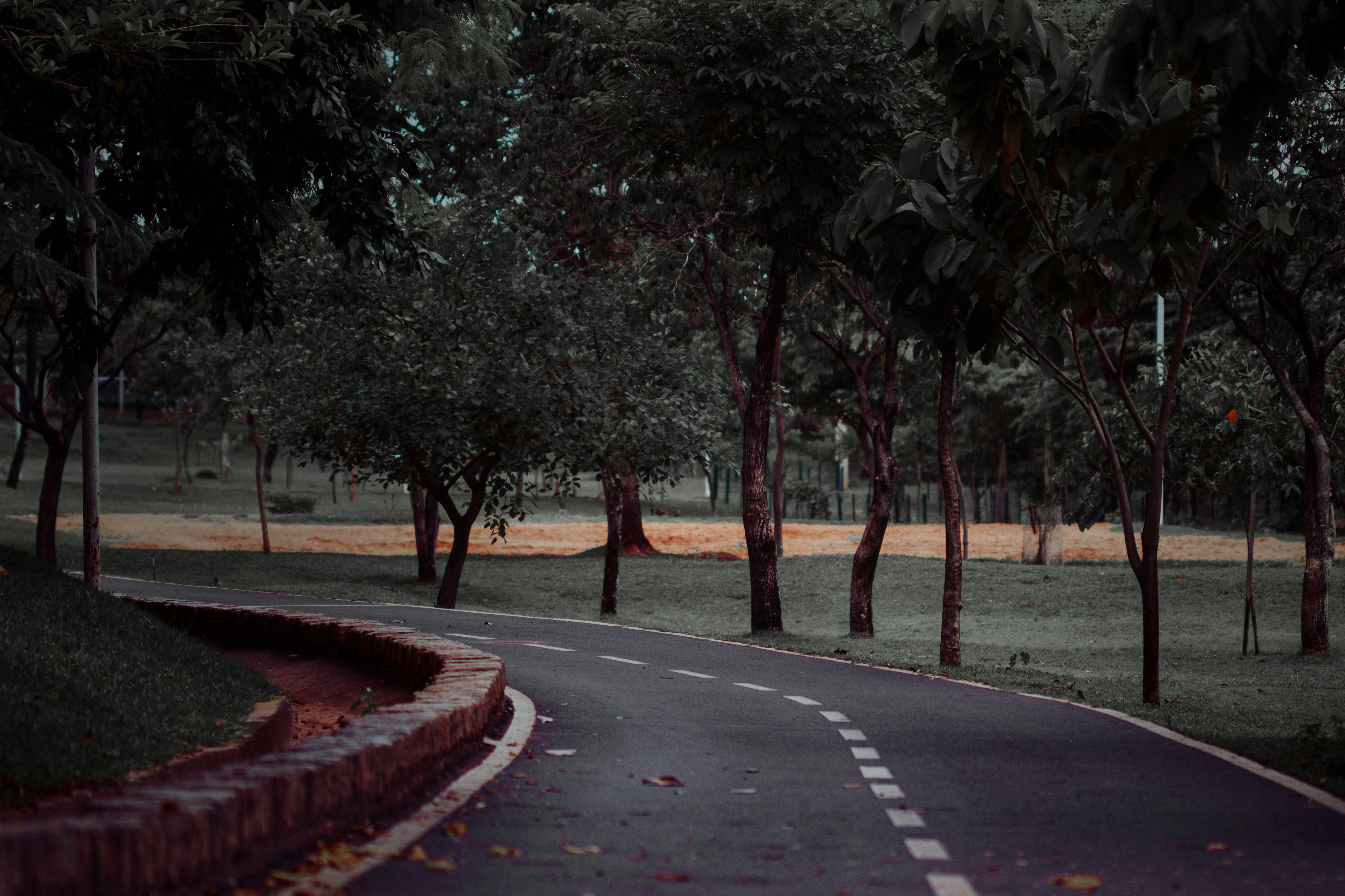 SJP destination photo