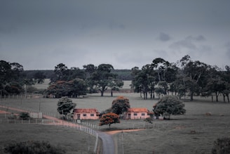 A rural landscape features two houses with red-tiled roofs surrounded by scattered trees. The road in the foreground is flanked by a fence, leading through open fields. The sky is overcast, creating a subdued atmosphere.