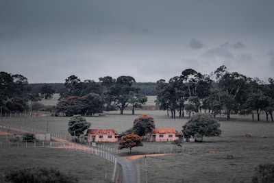 A rural landscape features two houses with red-tiled roofs surrounded by scattered trees. The road in the foreground is flanked by a fence, leading through open fields. The sky is overcast, creating a subdued atmosphere.