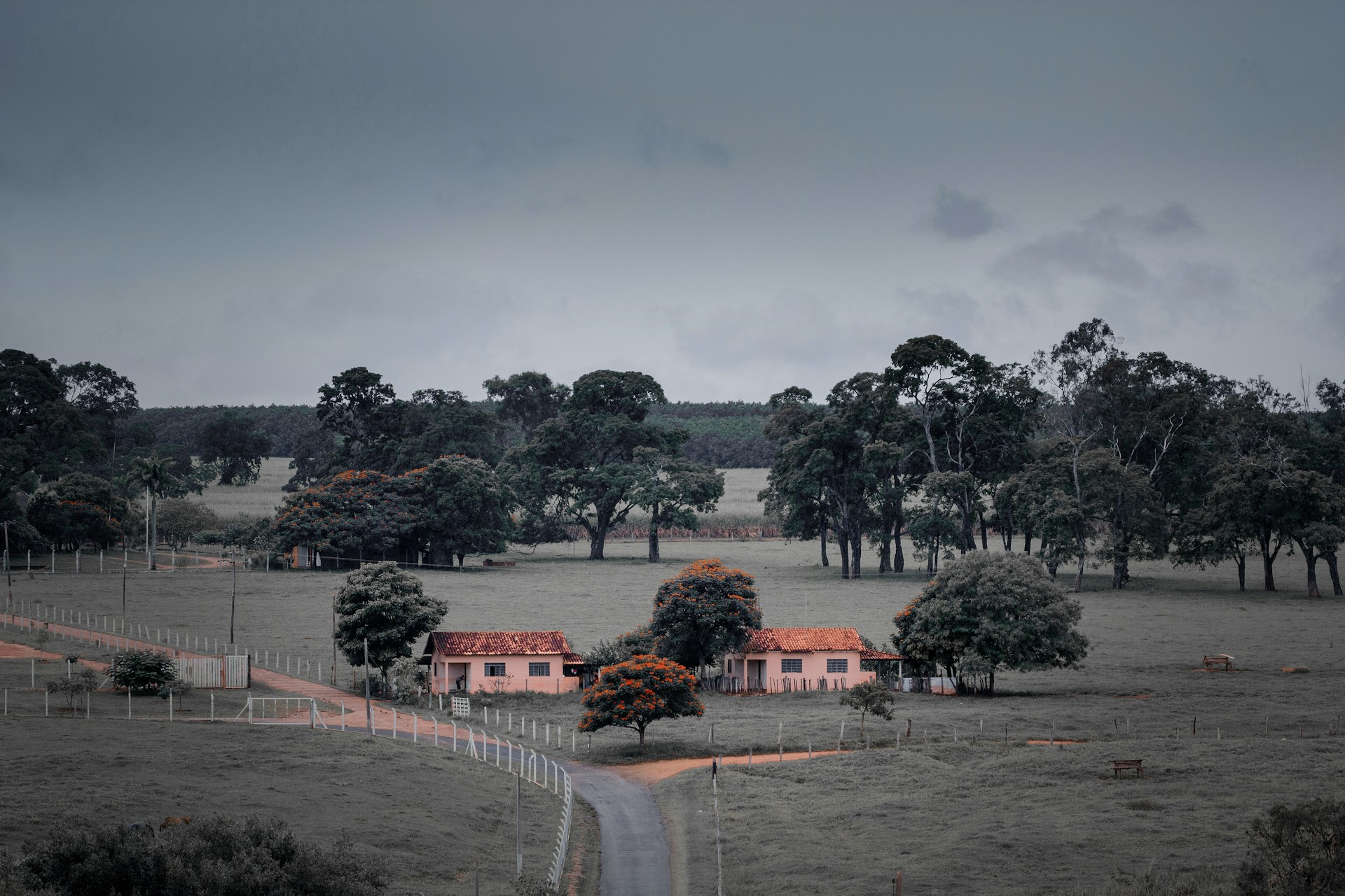 woman wearing yellow long-sleeved dress under white clouds and blue sky during daytime