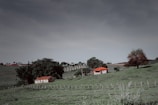 A rural landscape featuring two small houses with red roofs surrounded by lush greenery and open, grassy fields. Large trees provide shade around the houses, and a clear sky adds to the peaceful atmosphere.