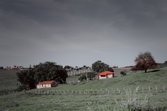A rural landscape featuring two small houses with red roofs surrounded by lush greenery and open, grassy fields. Large trees provide shade around the houses, and a clear sky adds to the peaceful atmosphere.