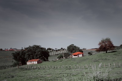 A rural landscape featuring two small houses with red roofs surrounded by lush greenery and open, grassy fields. Large trees provide shade around the houses, and a clear sky adds to the peaceful atmosphere.