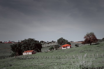 A rural landscape featuring two small houses with red roofs surrounded by lush greenery and open, grassy fields. Large trees provide shade around the houses, and a clear sky adds to the peaceful atmosphere.