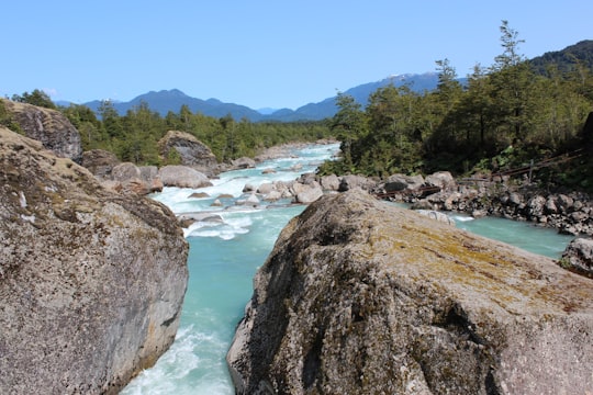 river in between green trees under blue sky during daytime in Queulat Chile