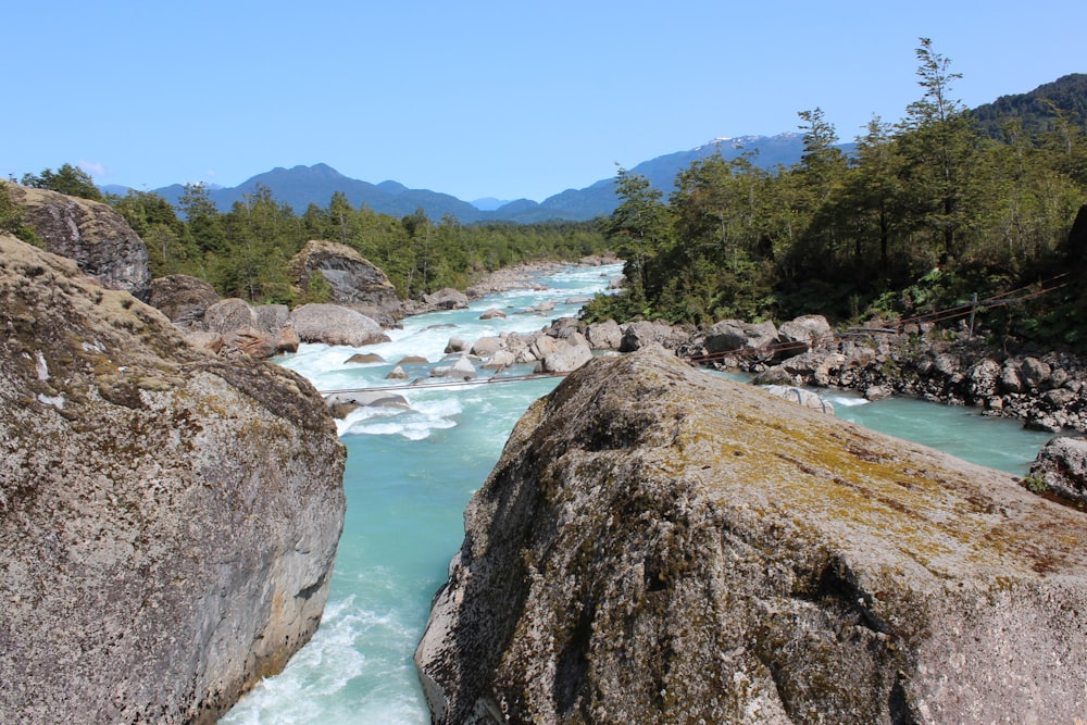 river in between green trees under blue sky during daytime