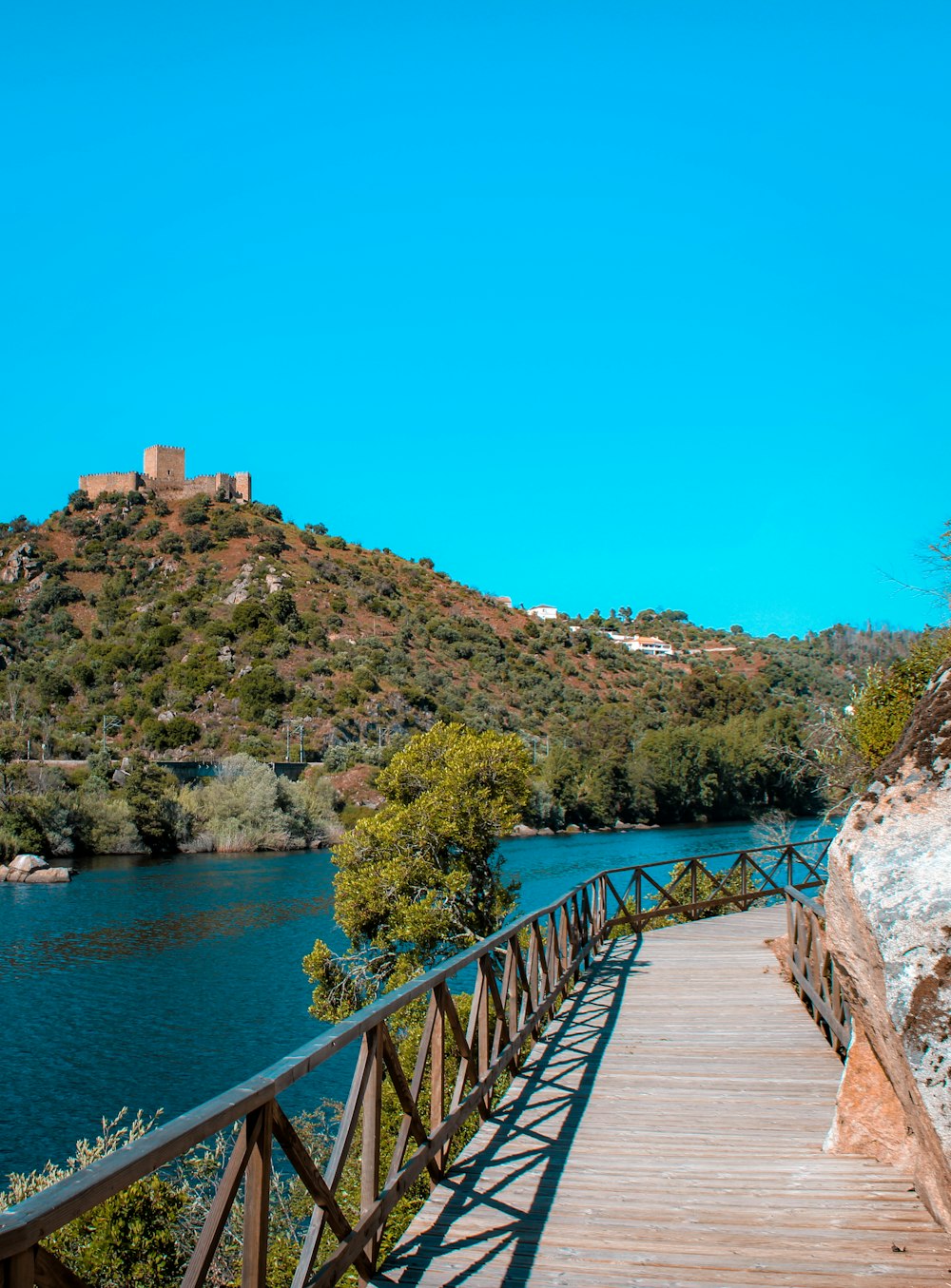 brown wooden bridge over blue river during daytime