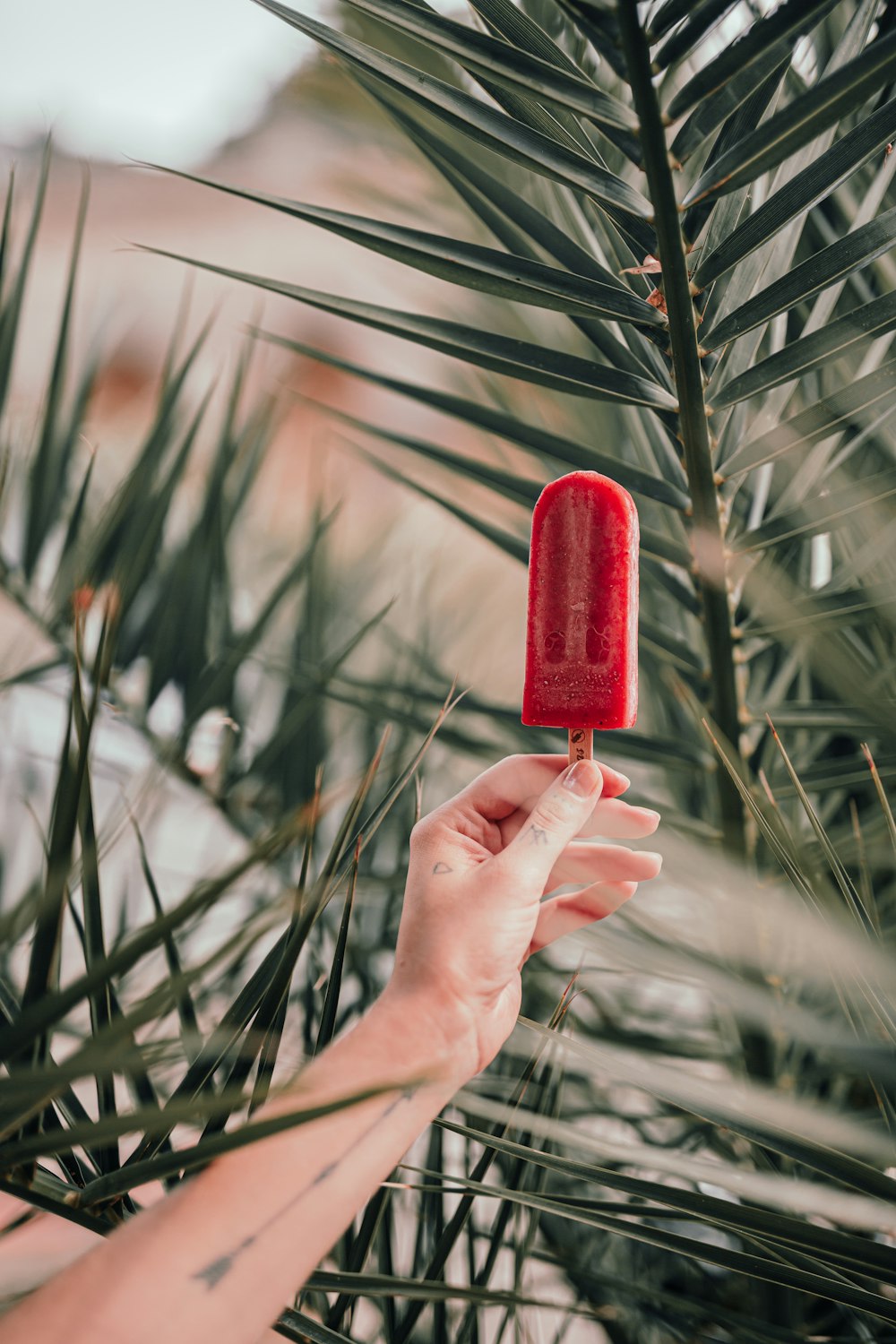 person holding red ice pop