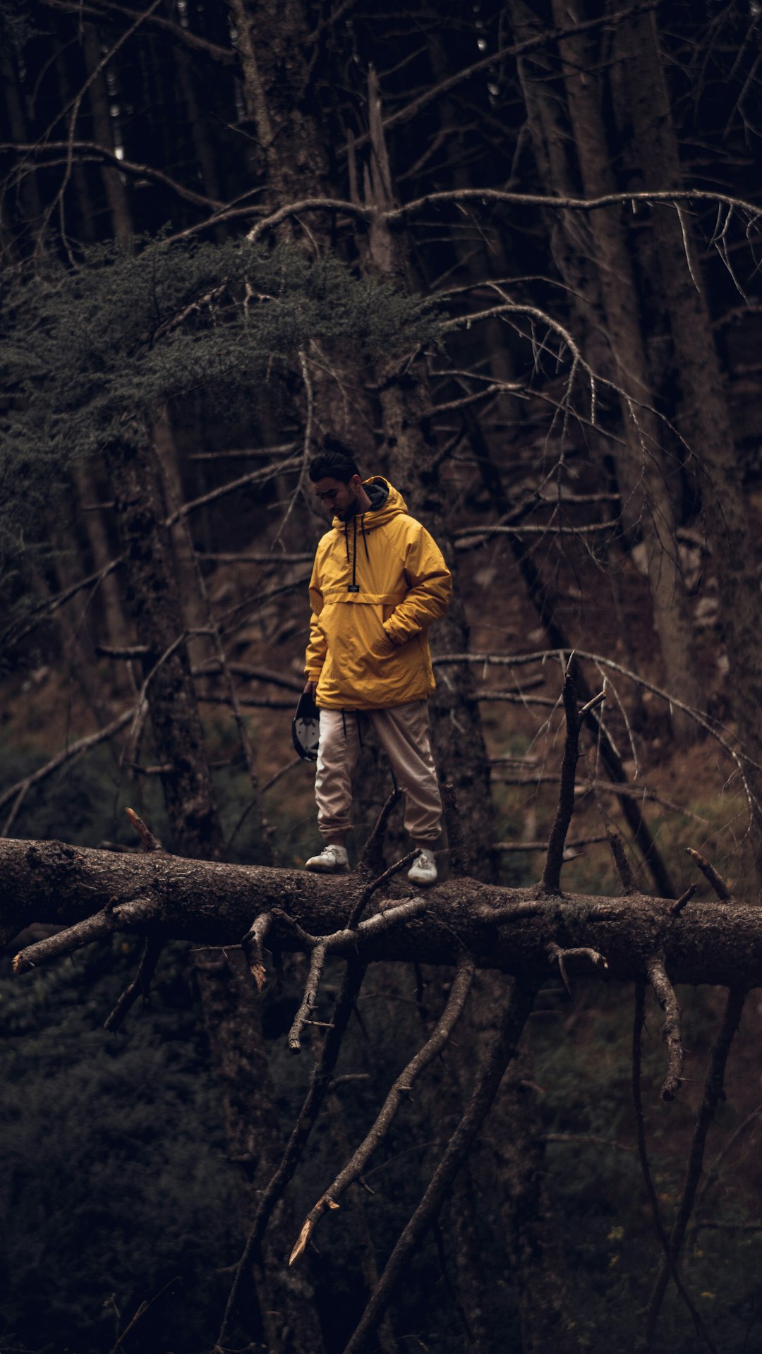 man in yellow jacket and black pants standing on brown tree log