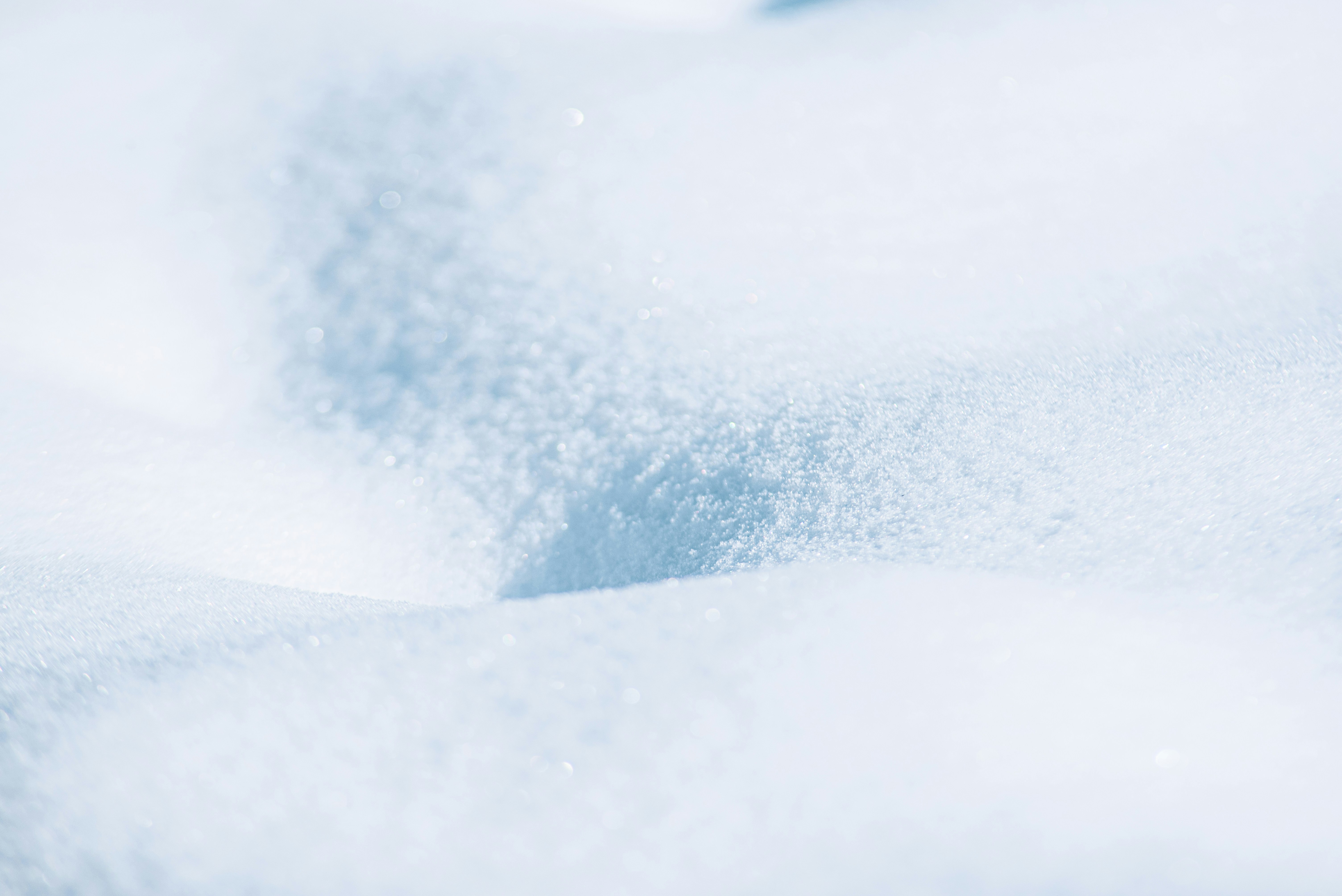 Photo by ryunosuke_kikuno