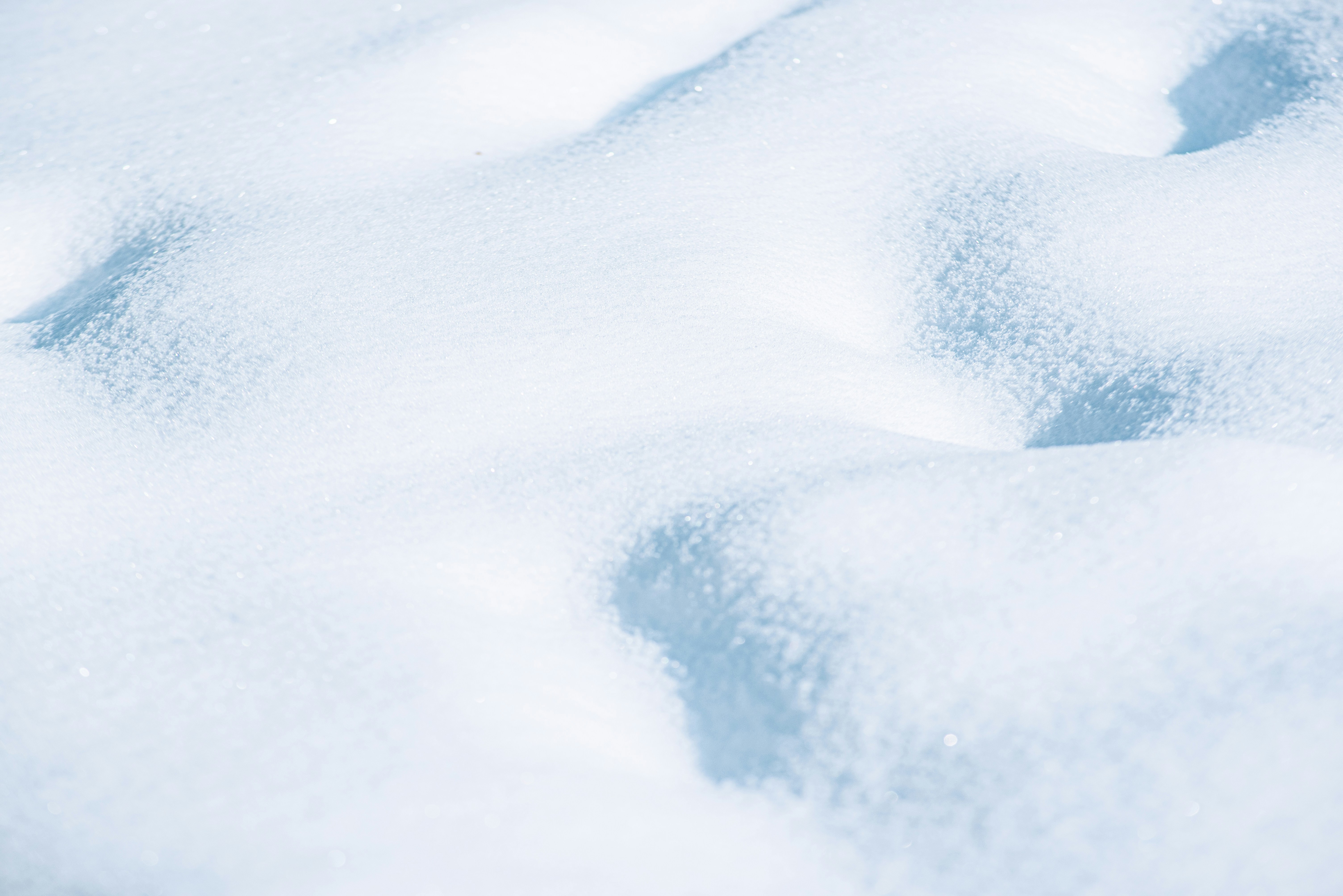 Photo by ryunosuke_kikuno