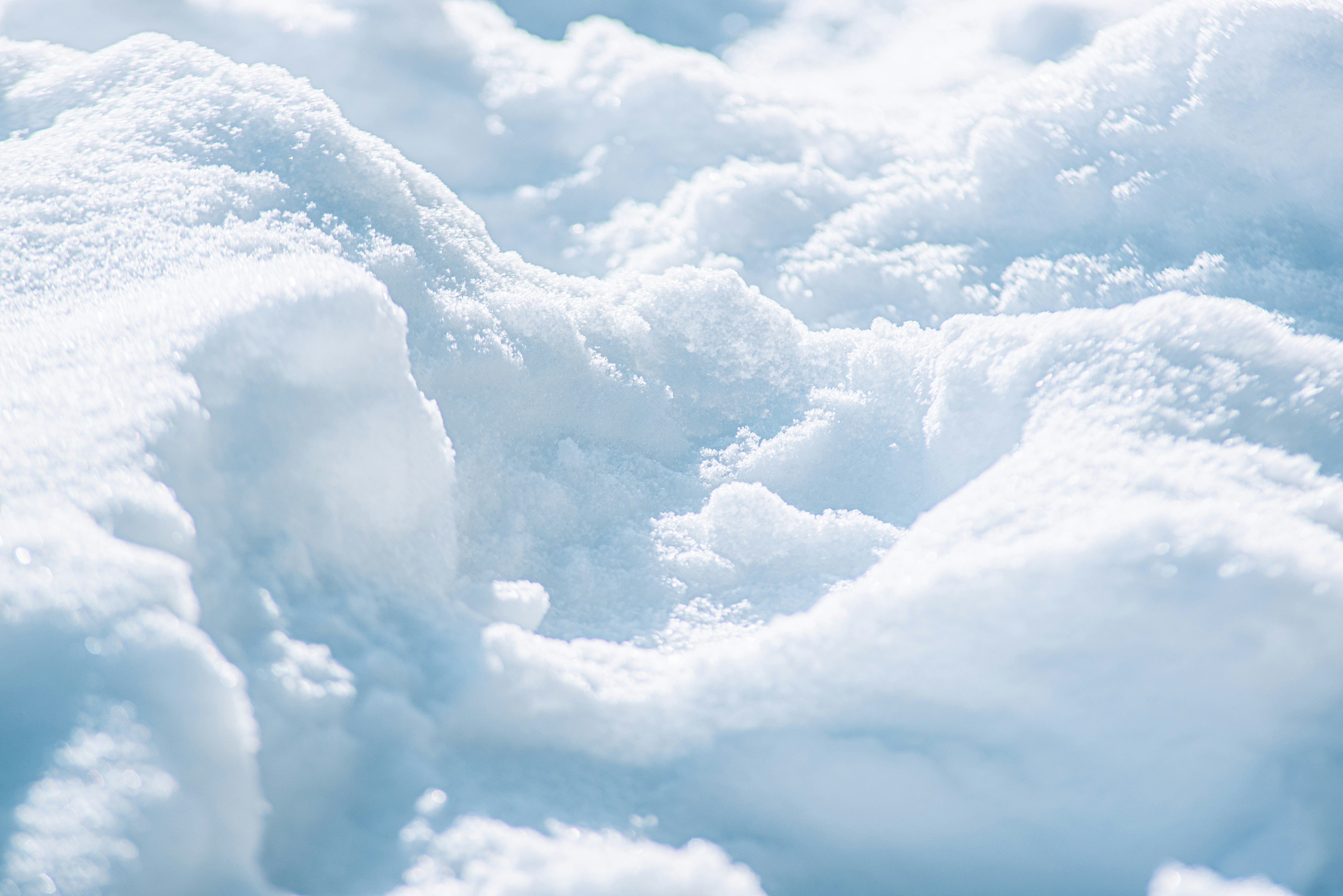 Photo by ryunosuke_kikuno