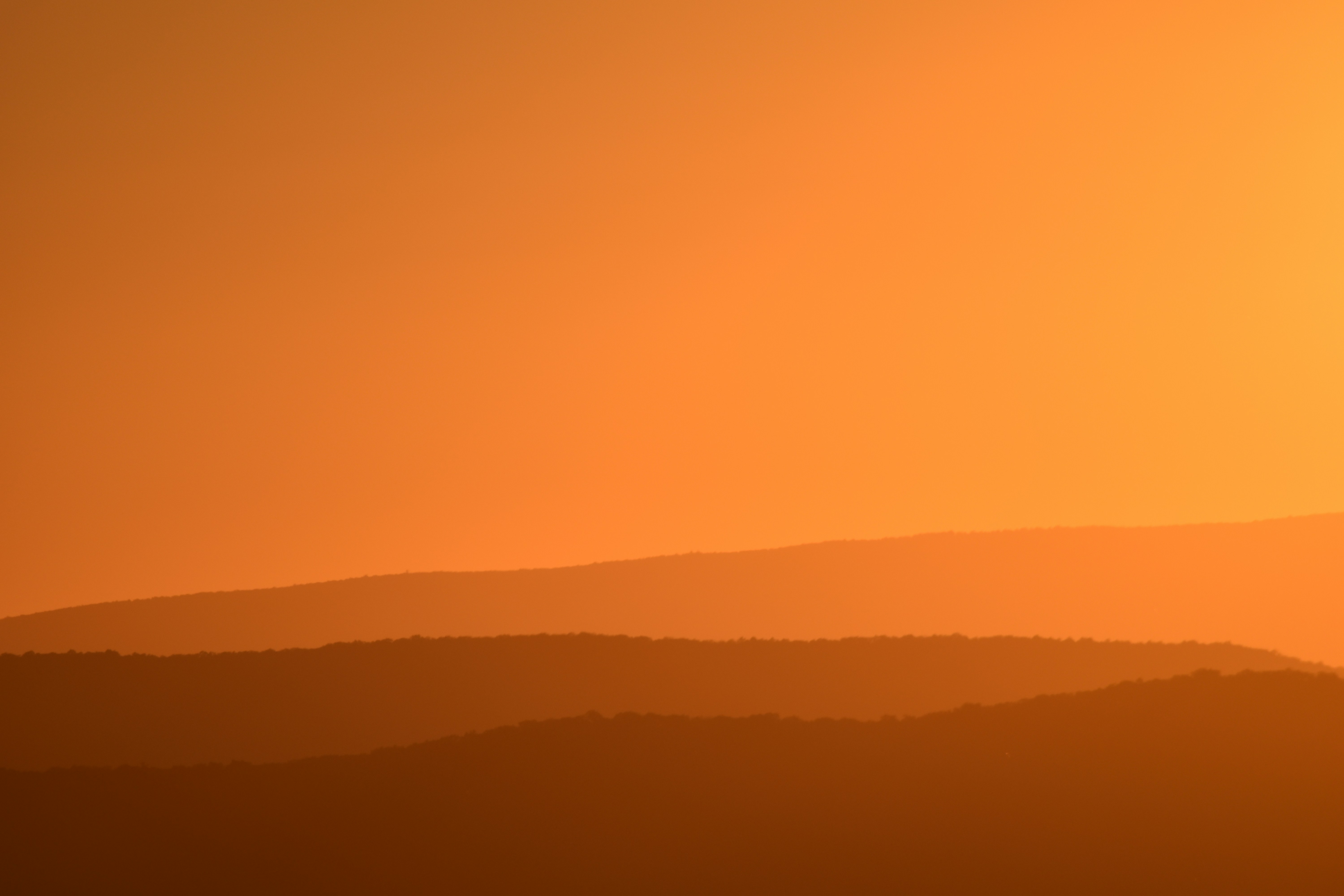 Photo by taylorwright22