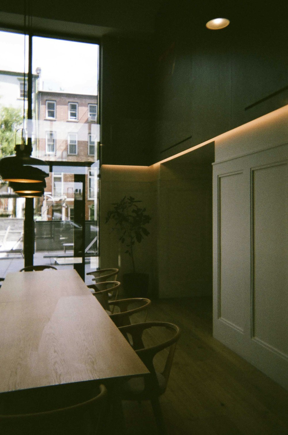 white wooden door near green potted plant