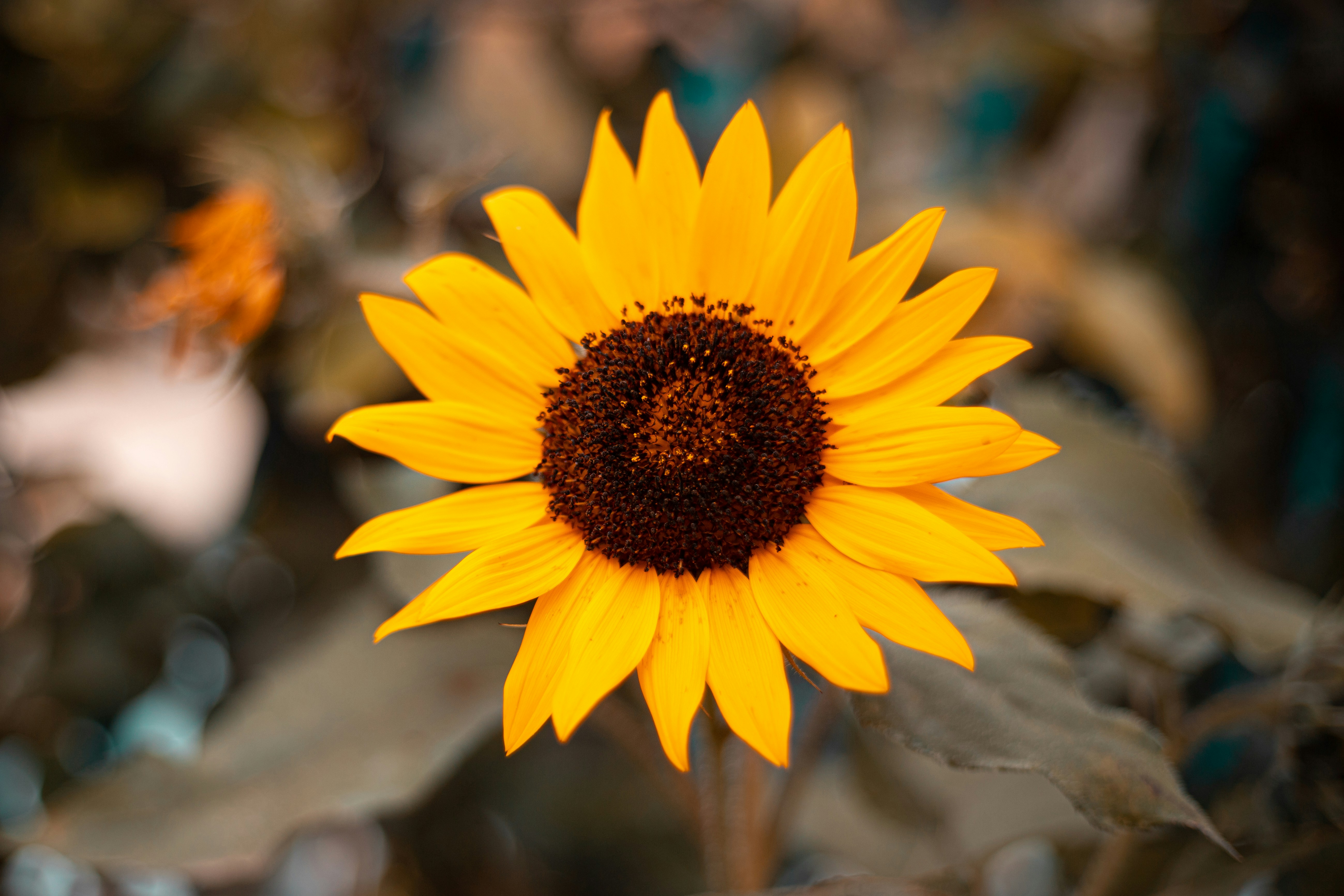 Photo by ferreiramarcos___