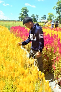 An individual enjoying music with earbuds live in a park.