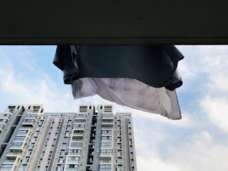 A candid shot of a Lumina Apparel shirt catching the breeze on a bustling city rooftop.
