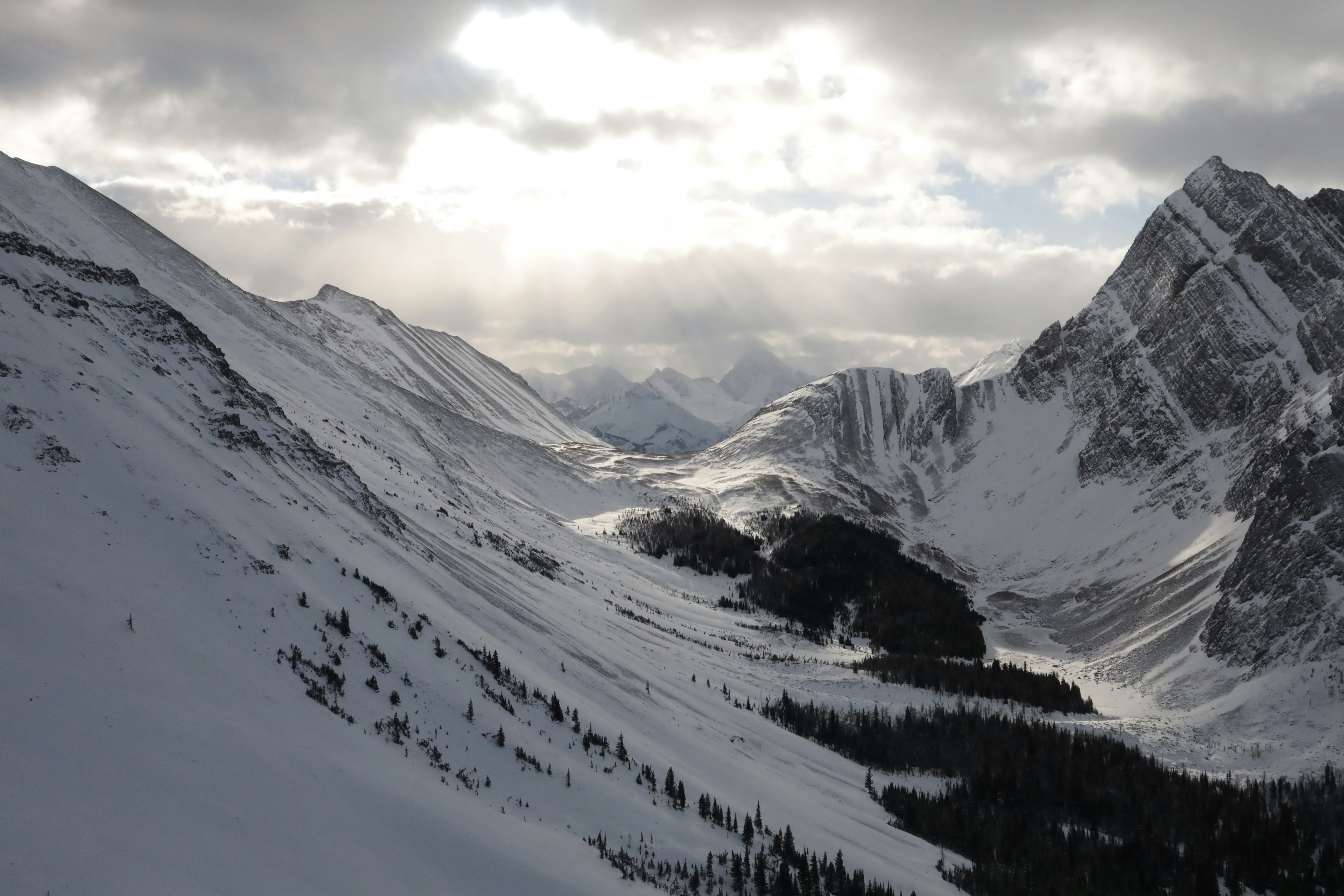 Photo by dylan_penner